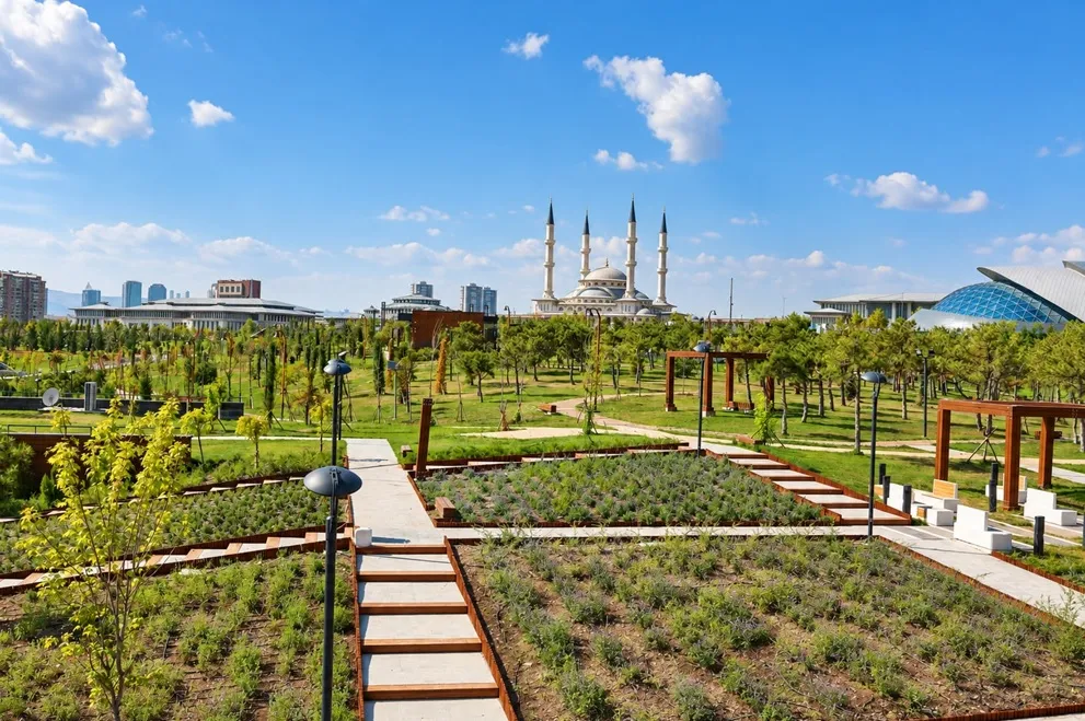 Ankara'nın kalbinde devasa yeşil dönüşüm: 24 milyon yıllık tarihle buluşma vakti
