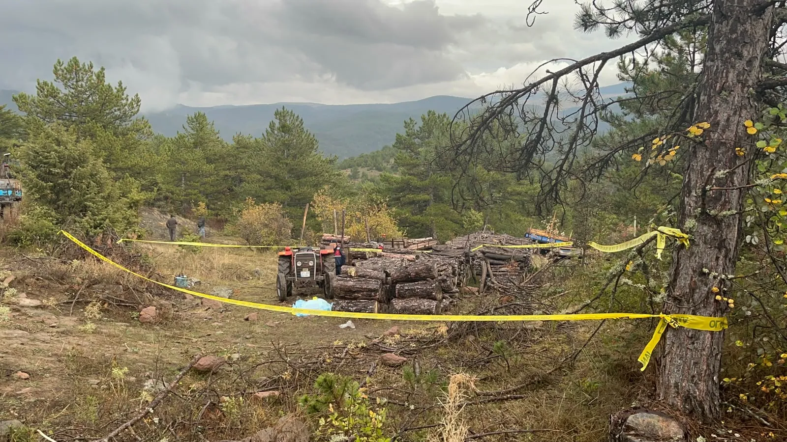 Kastamonu'da ormanlık alanda dehşet: İmamın canına kıydı