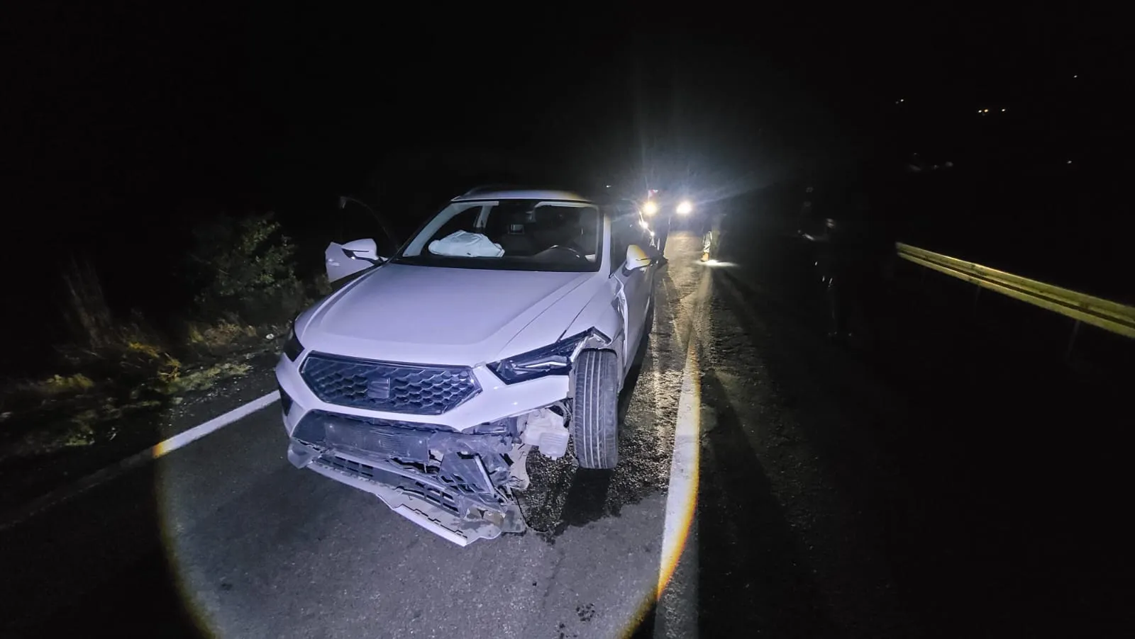 Tunceli kara yolunda gece yarısı dehşeti: Yola çıkan ayıya çarptı