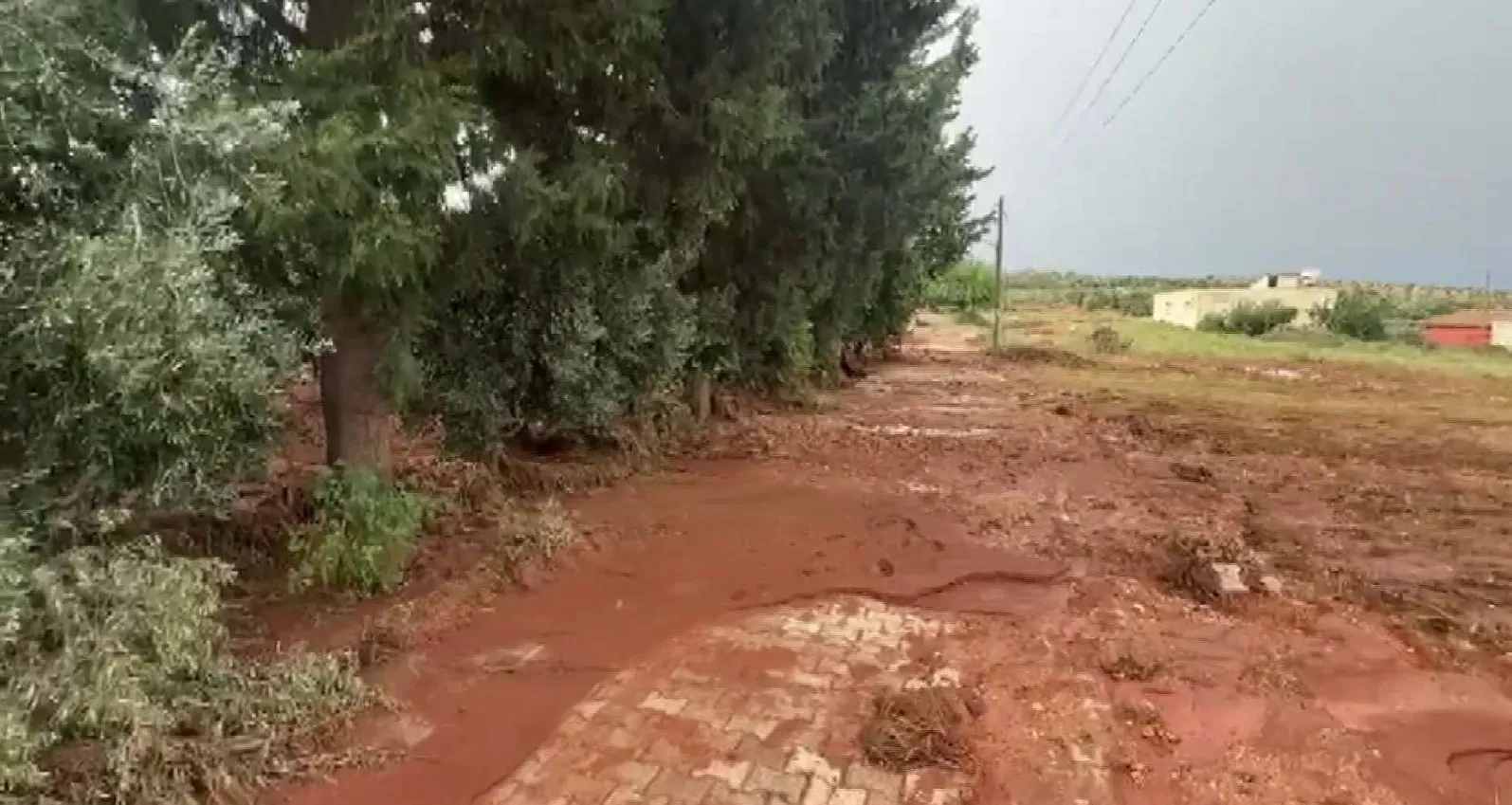 Reyhanlı'da gece yarısı kabusu: Bahçe duvarı saniyeler içinde yerle bir oldu