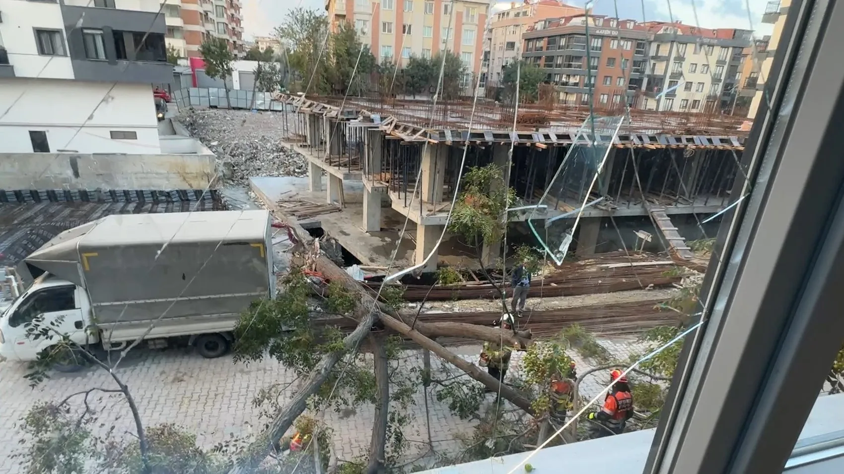 Avcılar'da saniyelerle gelen mucize: Devrilen ağacın altında kalmaktan kıl payı kurtuldu