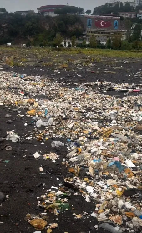 Zonguldak'ta sağanak sonrası sahilin acı tablosu: Deniz kustu