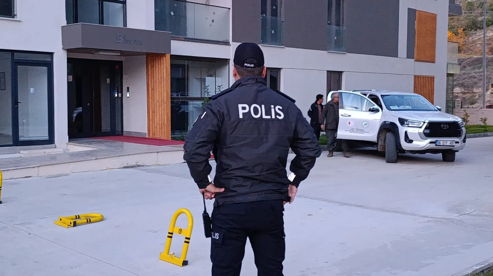 Amasya'da site sakinlerini şoke eden misafir: Apartman girişinde yaban domuzu paniği