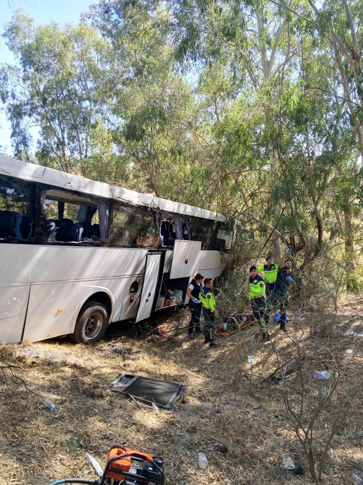 Aydın'da korkunç kaza: Bariyerleri aşan araçlar uçuruma sürüklendi