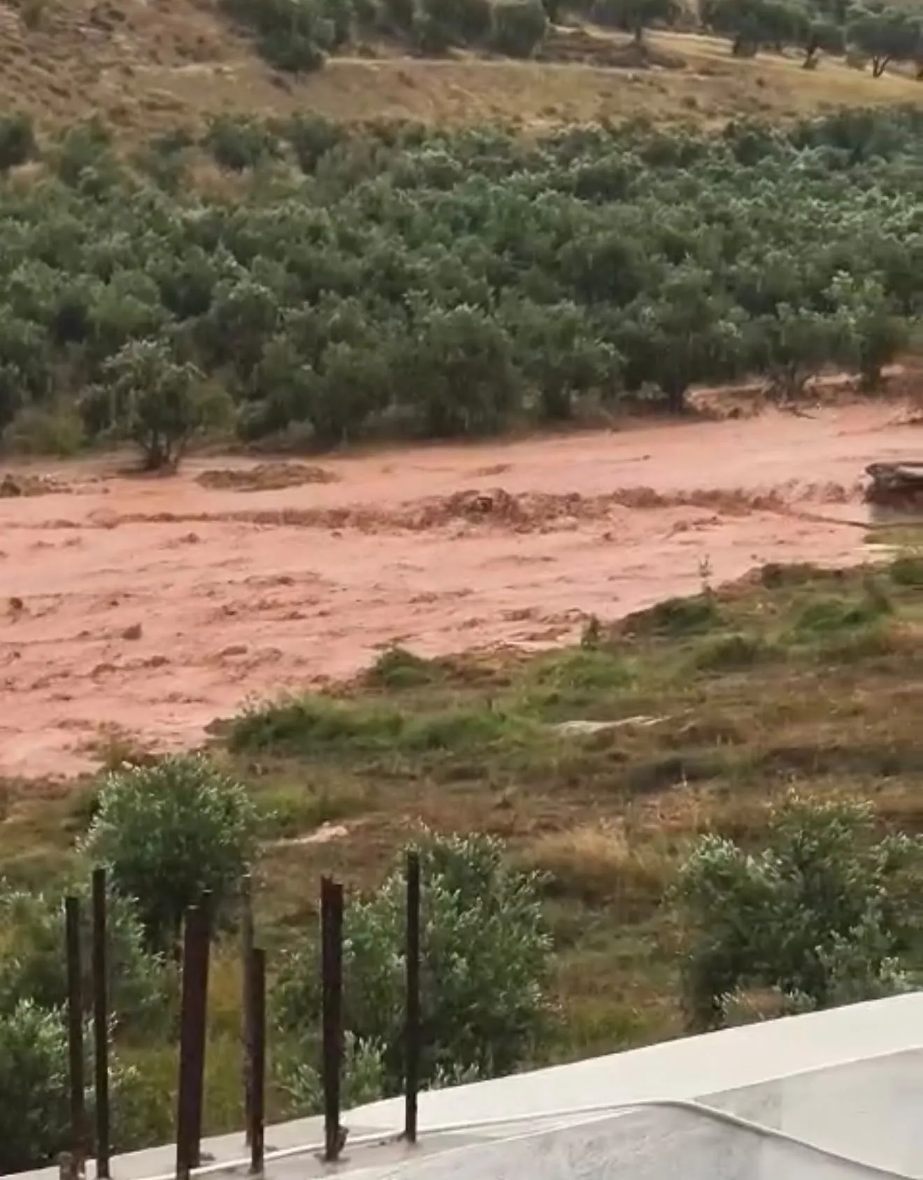 Reyhanlı'da çiftçinin kabusu bitmiyor: Bir haftada ikinci sel felaketi