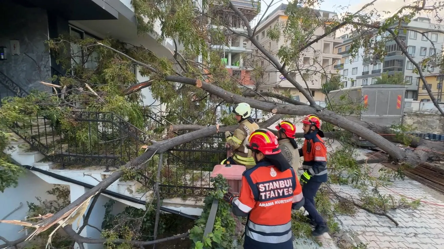Avcılar'da saniyelerle gelen mucize: Devrilen ağacın altında kalmaktan kıl payı kurtuldu
