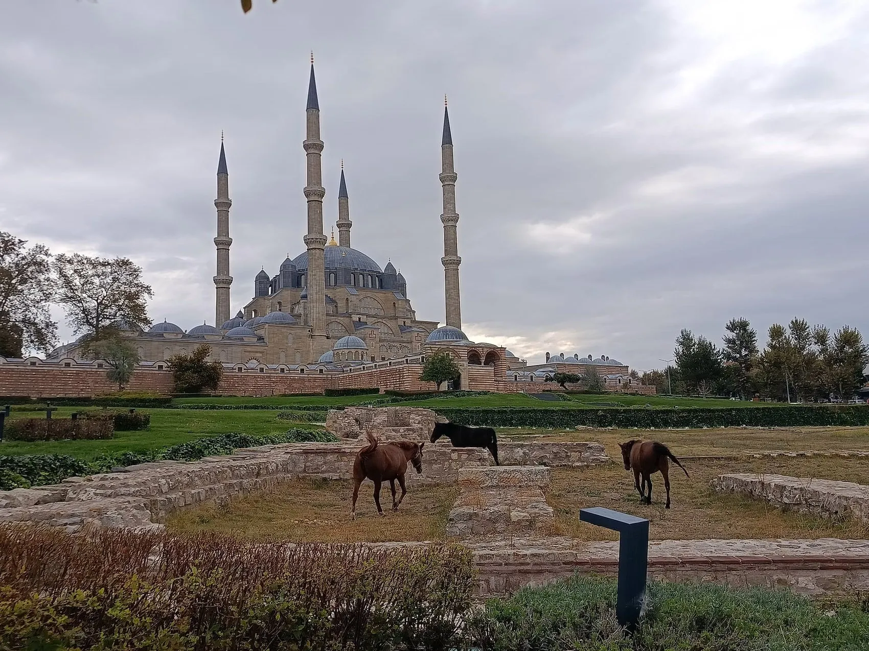 Mimar Sinan'ın şaheseri Selimiye'de beklenmedik ziyaretçiler: Turistler şaşkın