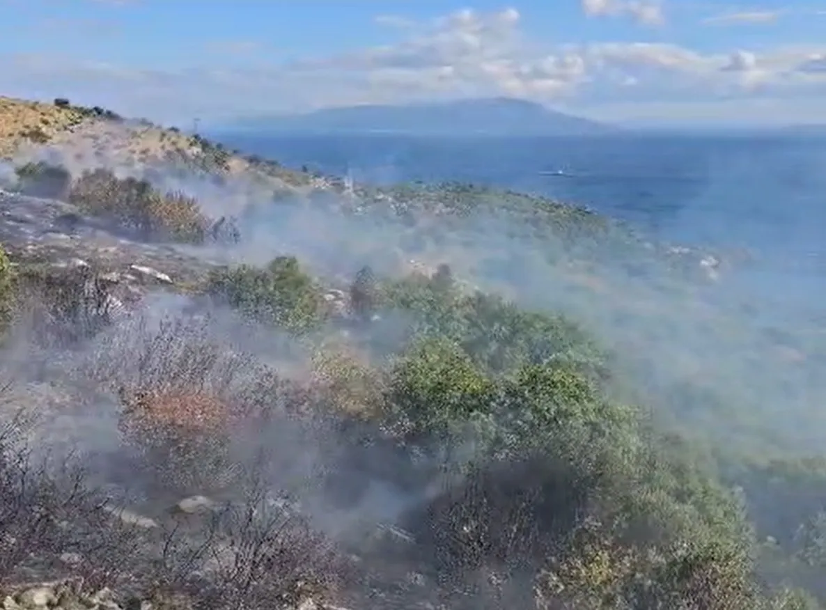 Marmara Adası'nda korkutan alevler: Ekipler zamanla yarıştı