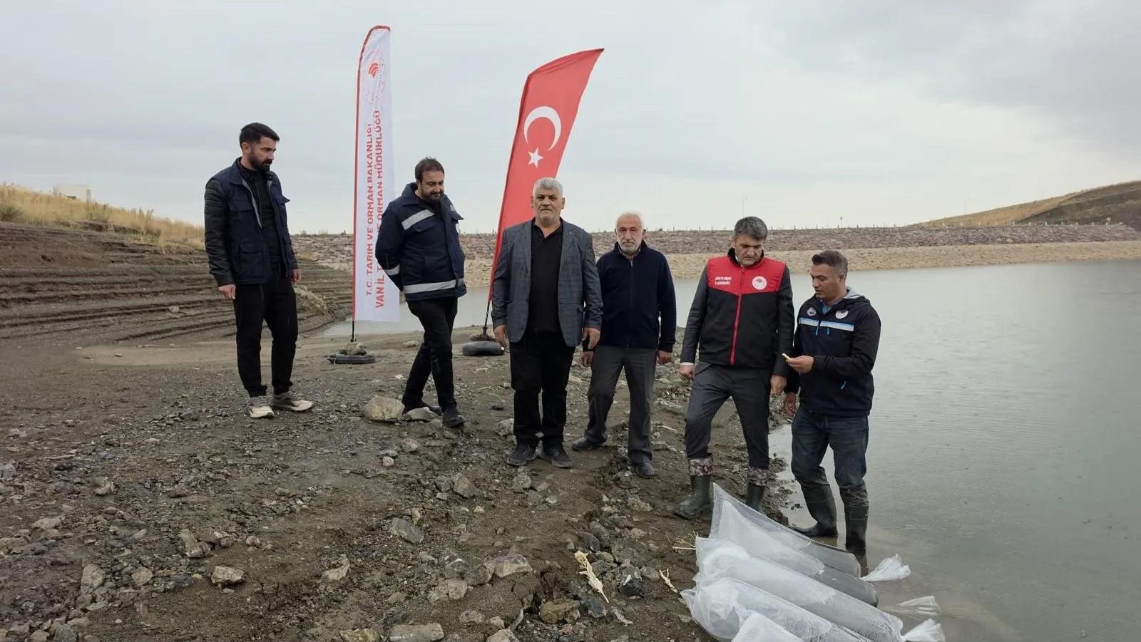Van'ın sularında devasa hareketlilik: 700 bin yeni misafir göletlere bırakıldı
