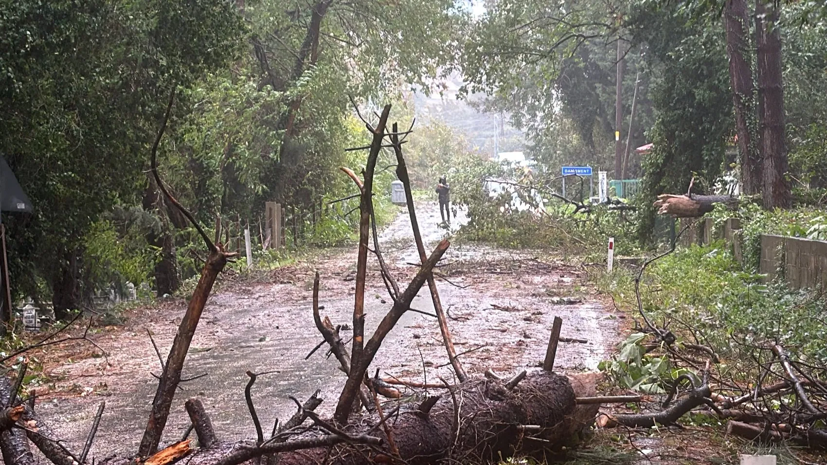 Bartın'da doğa öfkesini kustu: Yollar kapandı, çatılar uçtu