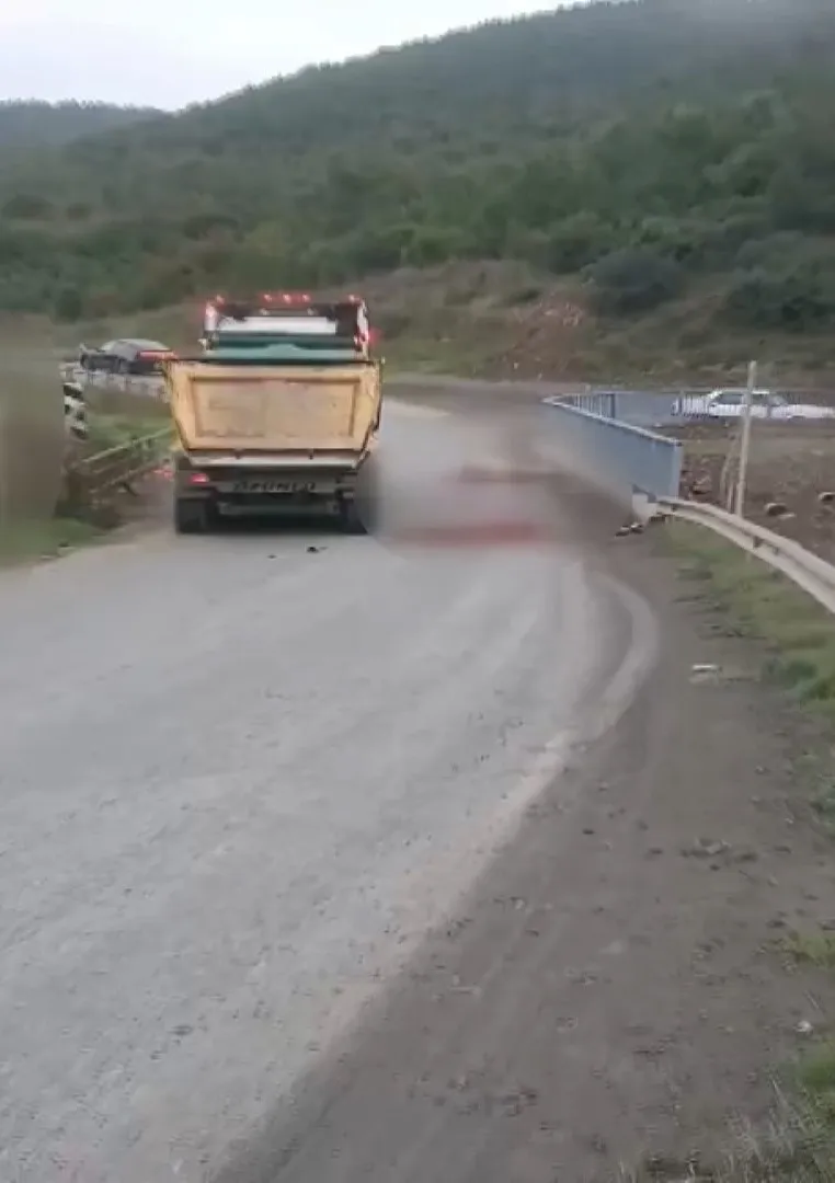Arnavutköy'de dehşet anları: Otomobilin çarptığı atın bacağı araca saplandı