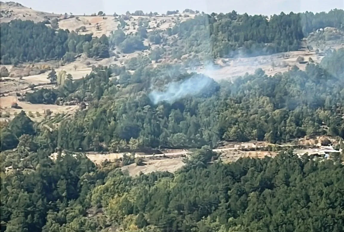 Kütahya'da korkutan orman yangını: Ekiplerin 3 saatlik zorlu mücadelesi sonuç verdi