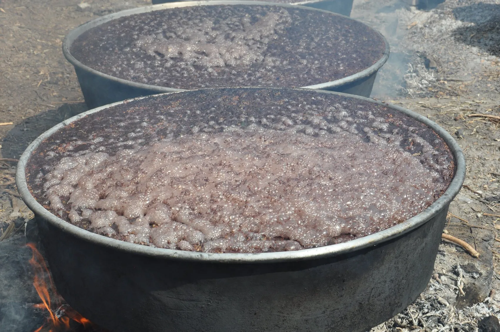 İslahiye'de bağ bozumu bitti, geleneksel pekmez mesaisi başladı