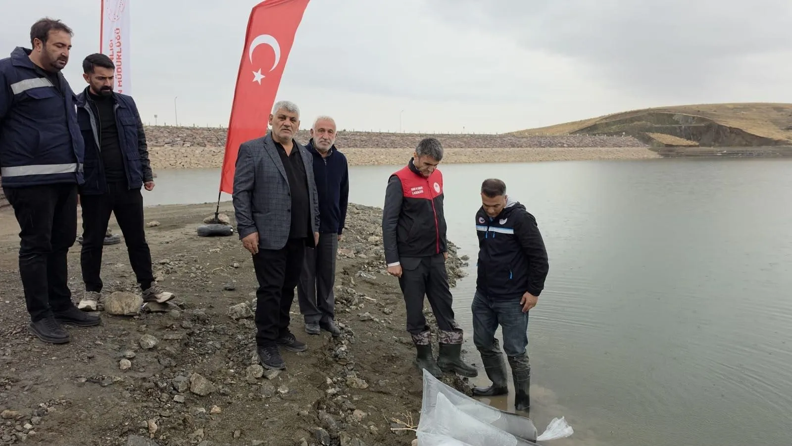 Van'ın sularında devasa hareketlilik: 700 bin yeni misafir göletlere bırakıldı