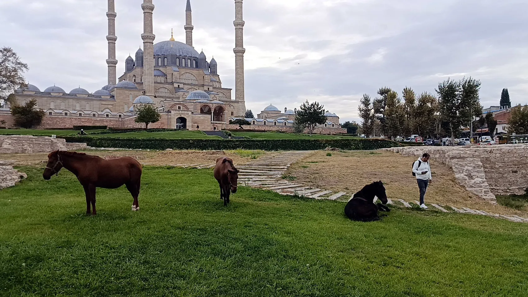 Mimar Sinan'ın şaheseri Selimiye'de beklenmedik ziyaretçiler: Turistler şaşkın