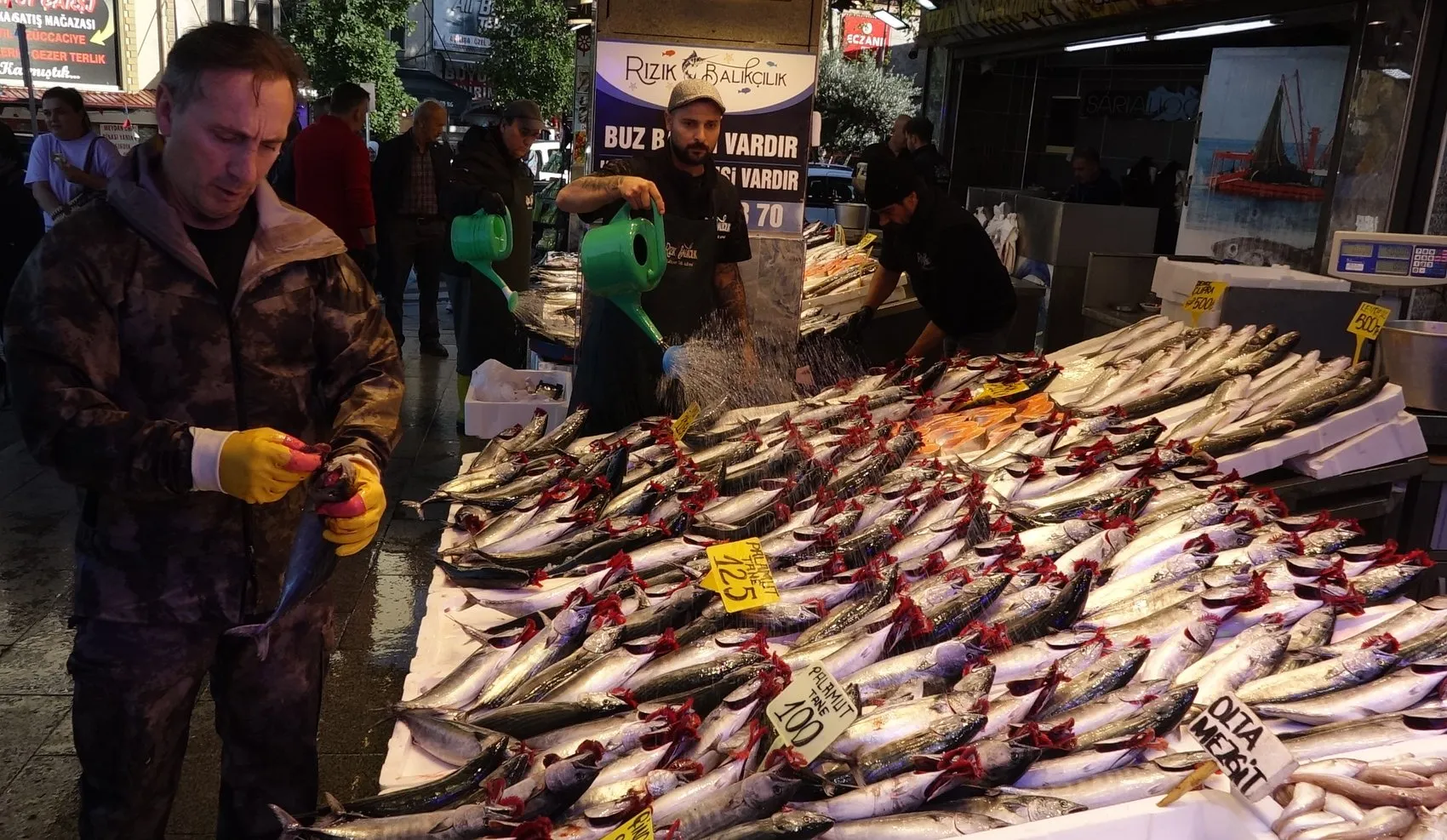 Karadeniz'de ağlar doldu taştı: Palamut bereketi sofraları şenlendiriyor