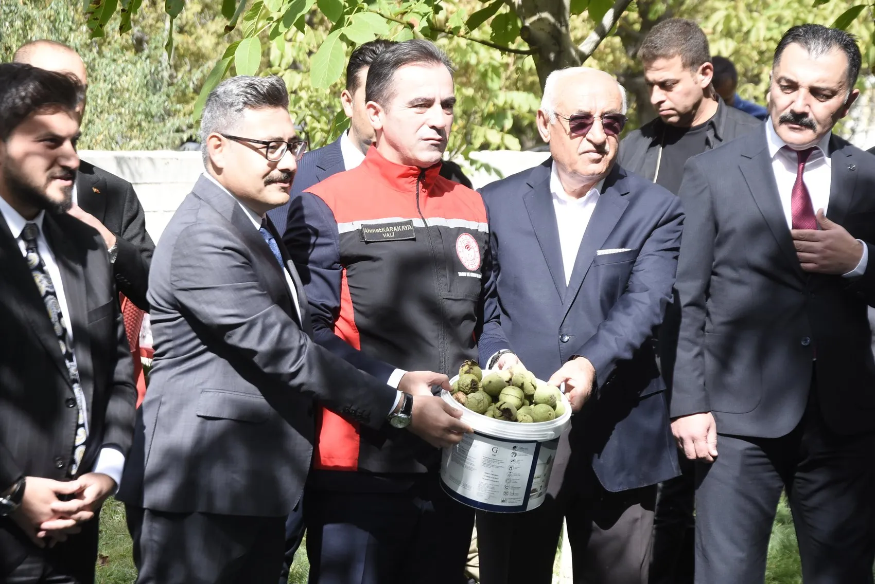 Bitlis'in bereketli topraklarında ceviz mesaisi: Vali Karakaya geleneksel yöntemle hasada katıldı