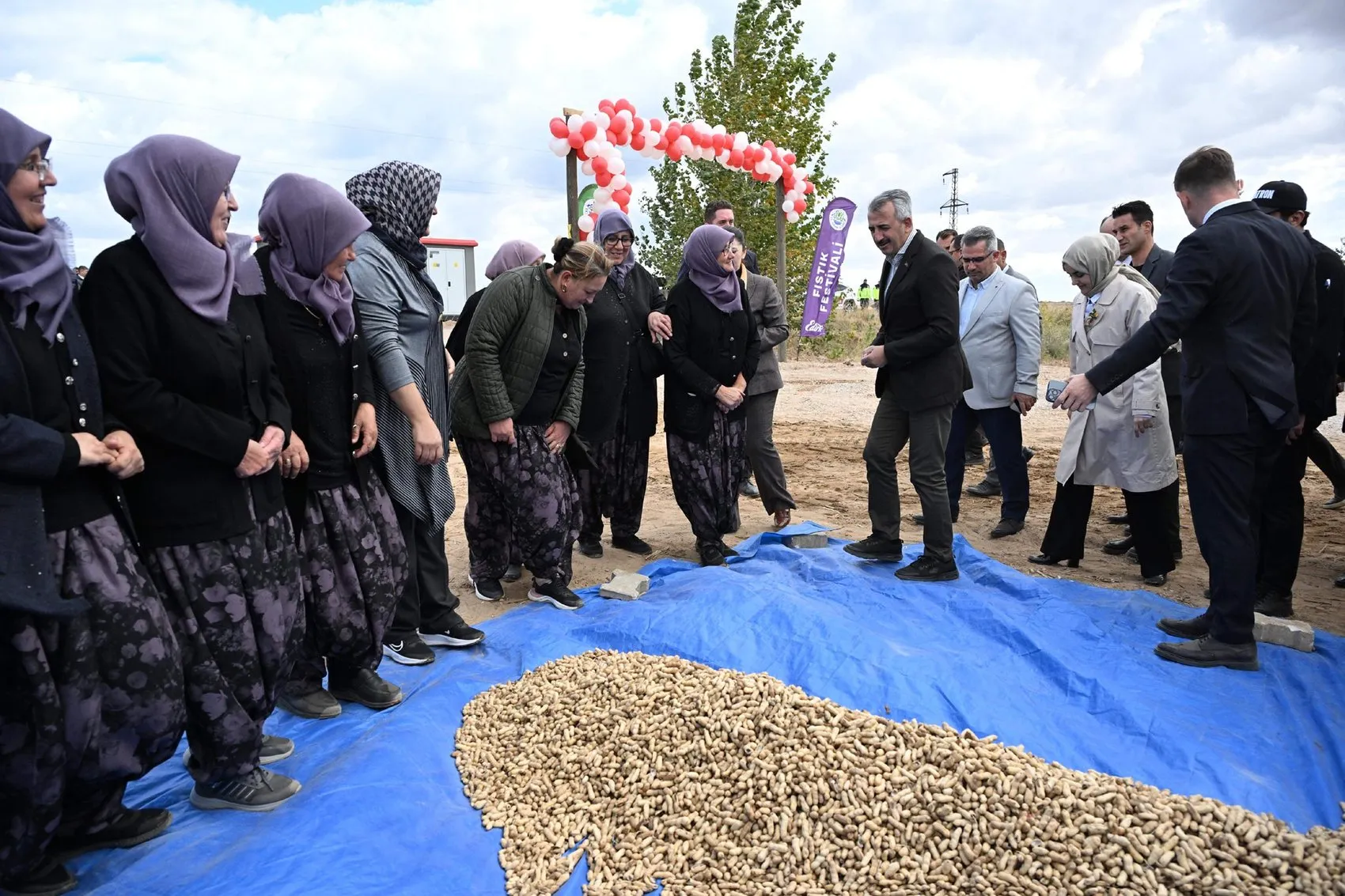Edirne'nin sarı altını dünyaya açılıyor: Alibeyköy'de fıstık bereketi