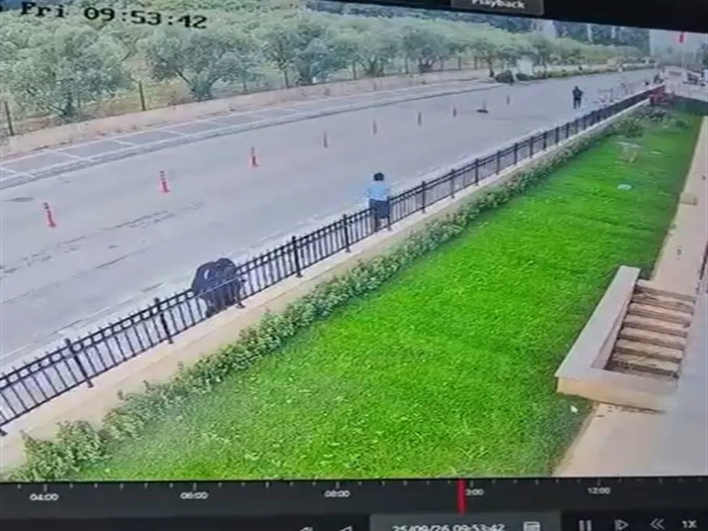 Adliye önünde kan donduran infaz: Ağabeyinin intikamı için pusuda bekledi
