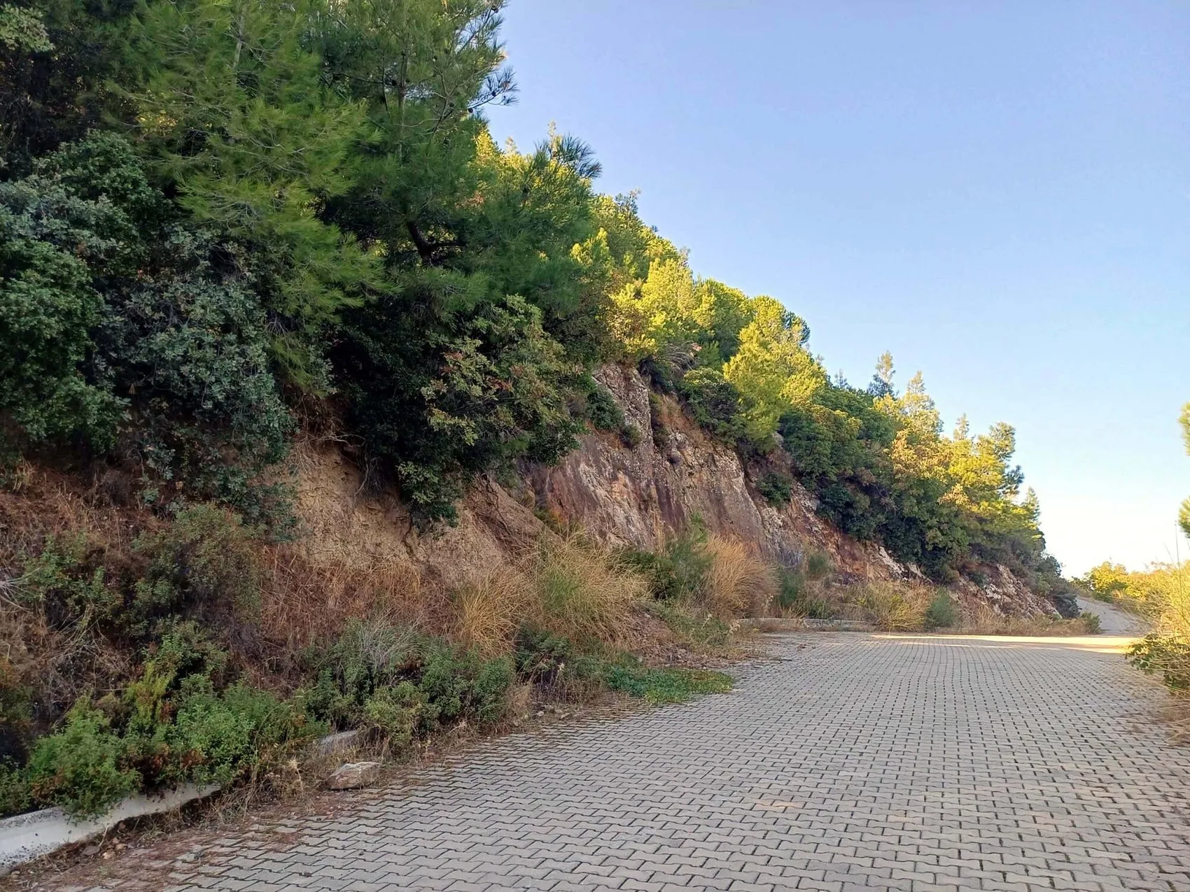 İzmir'in deprem gerçeği: Merkez üssü değil, zeminle olan bağ hayati önem taşıyor