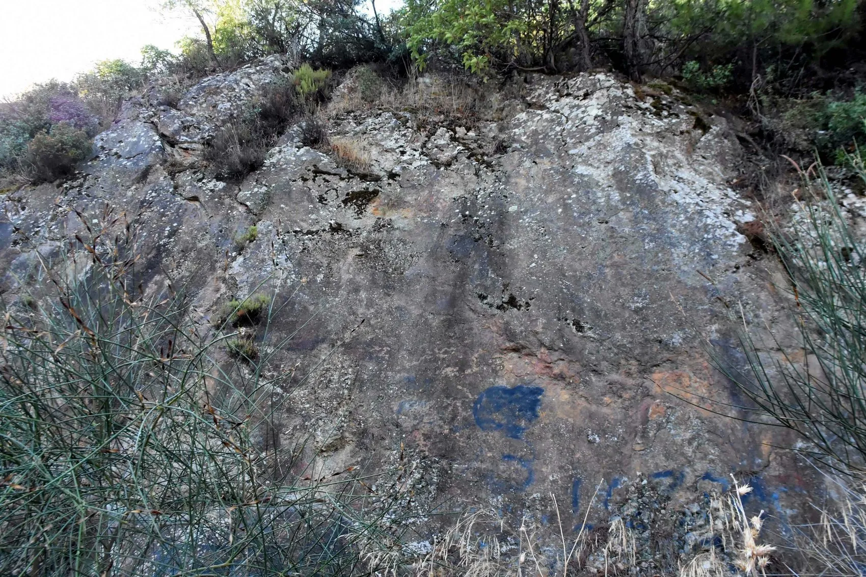İzmir'in deprem gerçeği: Merkez üssü değil, zeminle olan bağ hayati önem taşıyor
