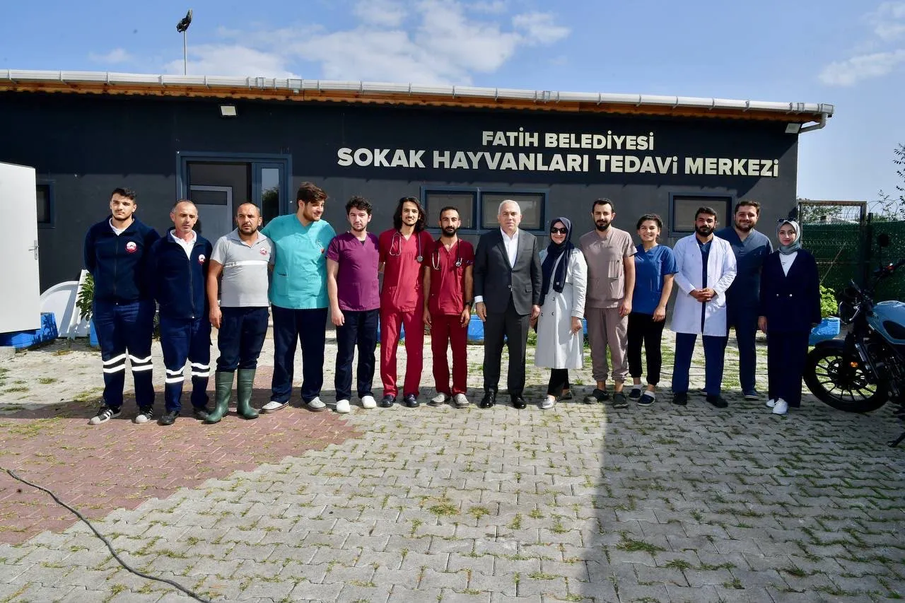 Sokak hayvanları için dev dönüşüm: Yedikule'de çeyrek asırlık tesis baştan aşağı yenileniyor