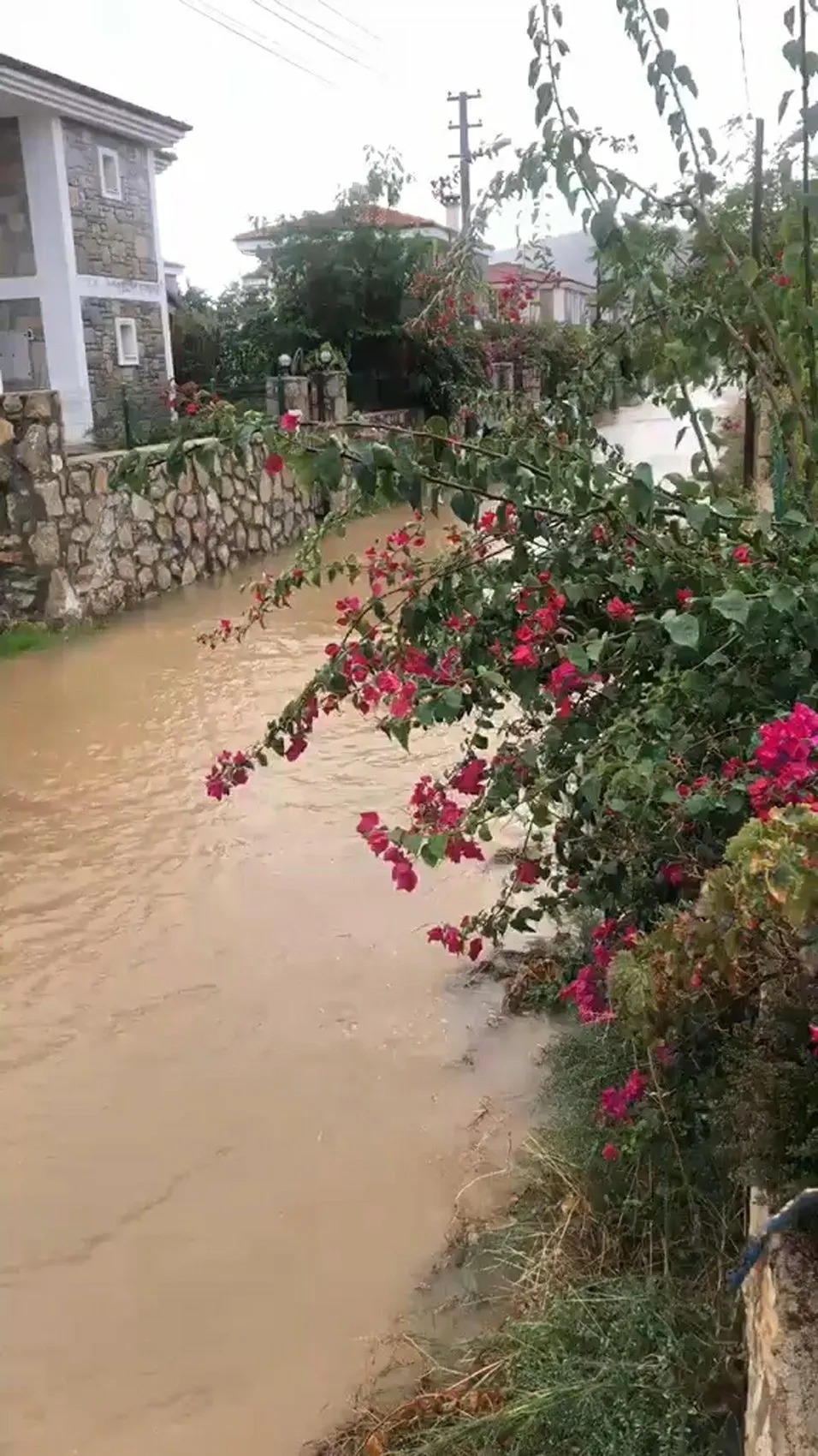 Datça'da hayatı felç eden sağanak: Araçlar sular altında kaldı