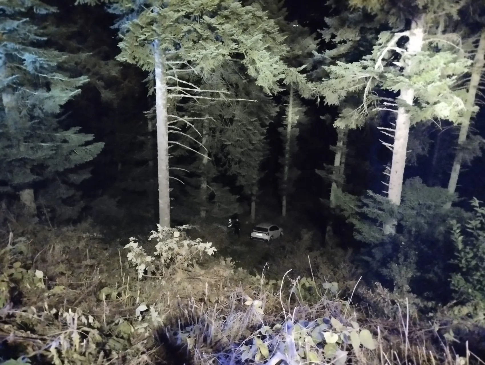 Bolu'da yayla yolunda dehşet anları: 100 metrelik uçuruma yuvarlanan araçtan mucizevi kurtuluş