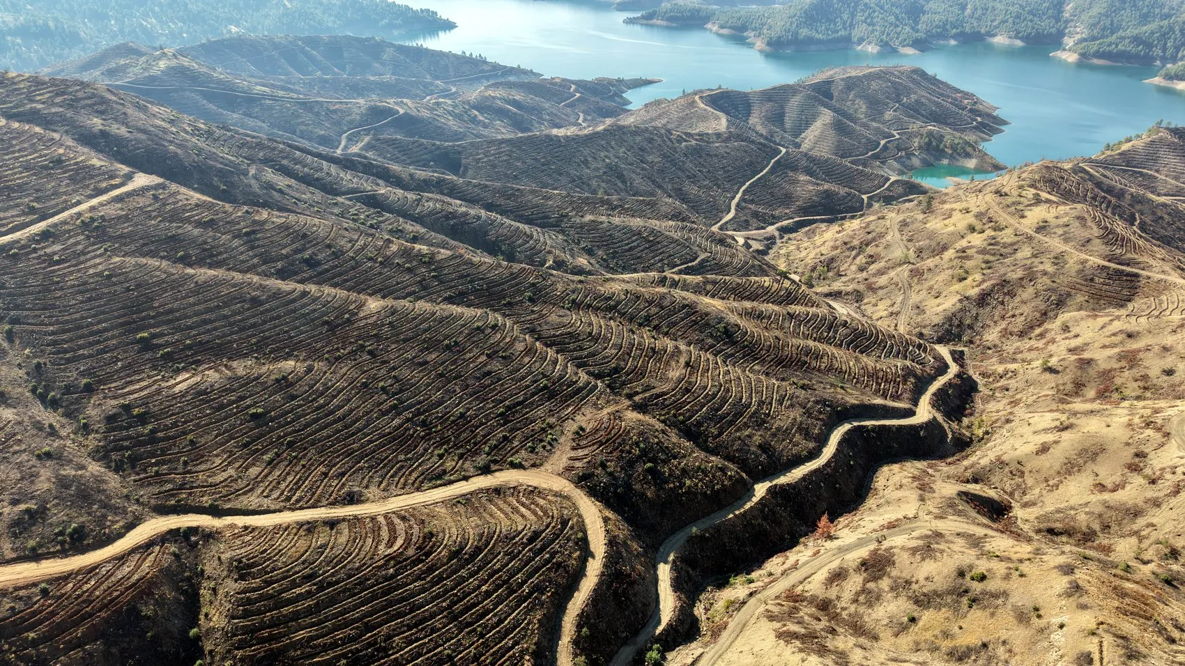 Kahramanmaraş'taki dev yangının faturası ağır oldu: 600 milyon liralık tazminat süreci başladı