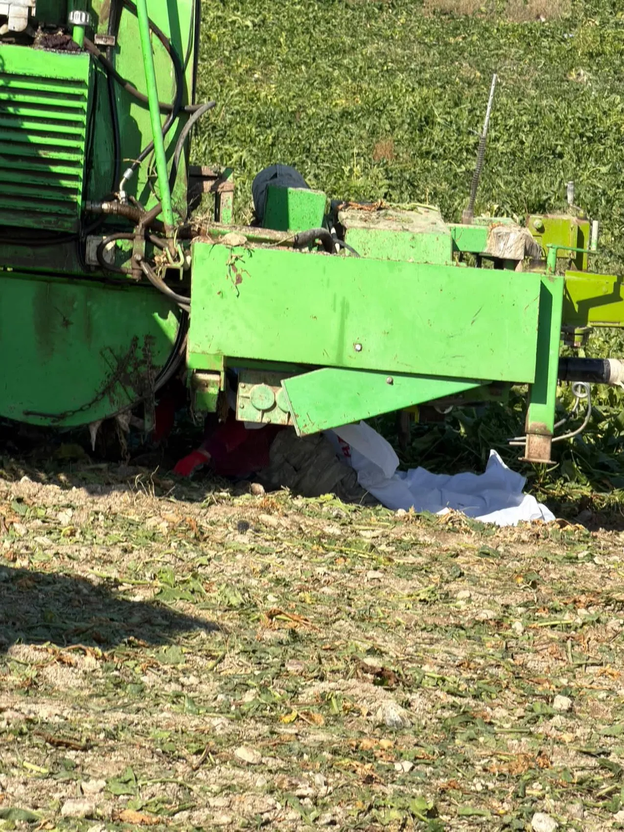 Polatlı'da tarım faciası: Pancar tarlasında acı veda