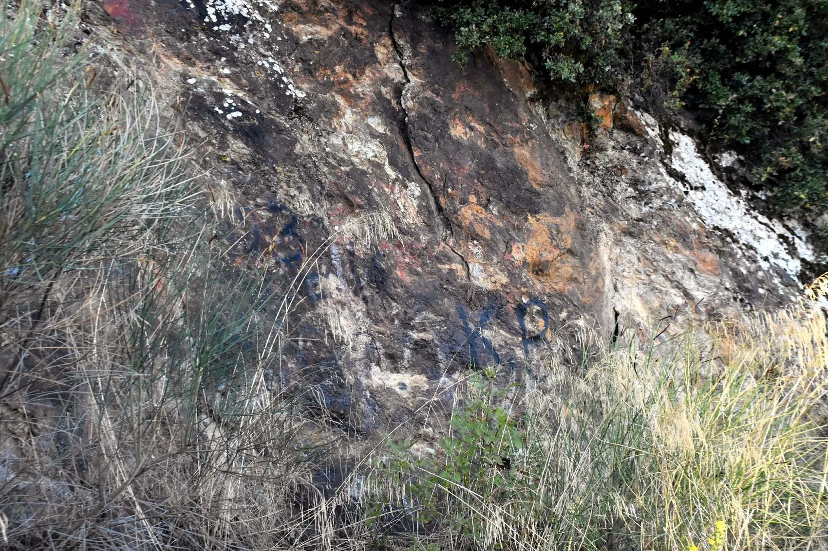 İzmir'in deprem gerçeği: Merkez üssü değil, zeminle olan bağ hayati önem taşıyor