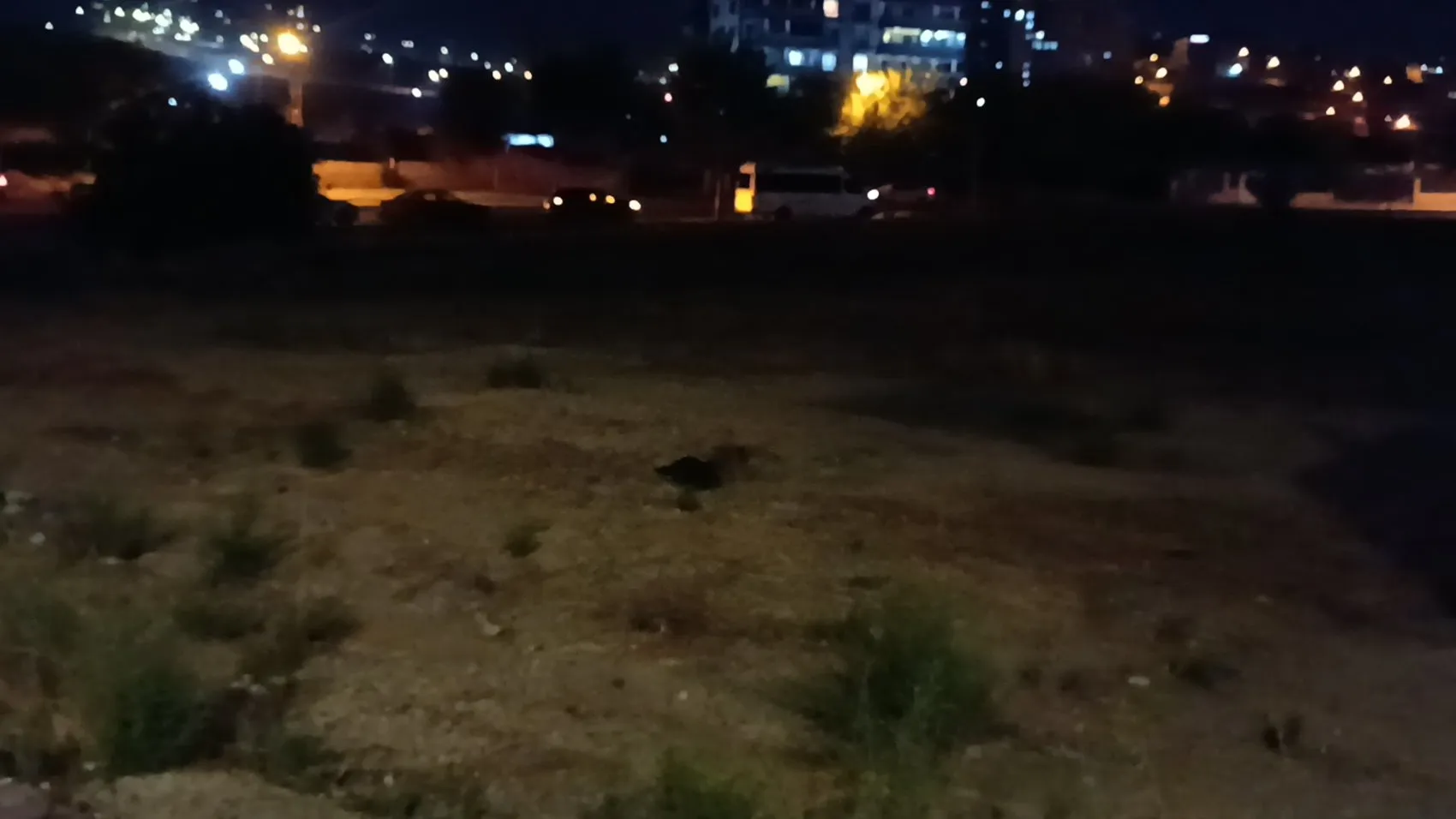 Gaziantep'te kan donduran cinayet: 16 yaşındaki genç sokak ortasında hayattan koparıldı