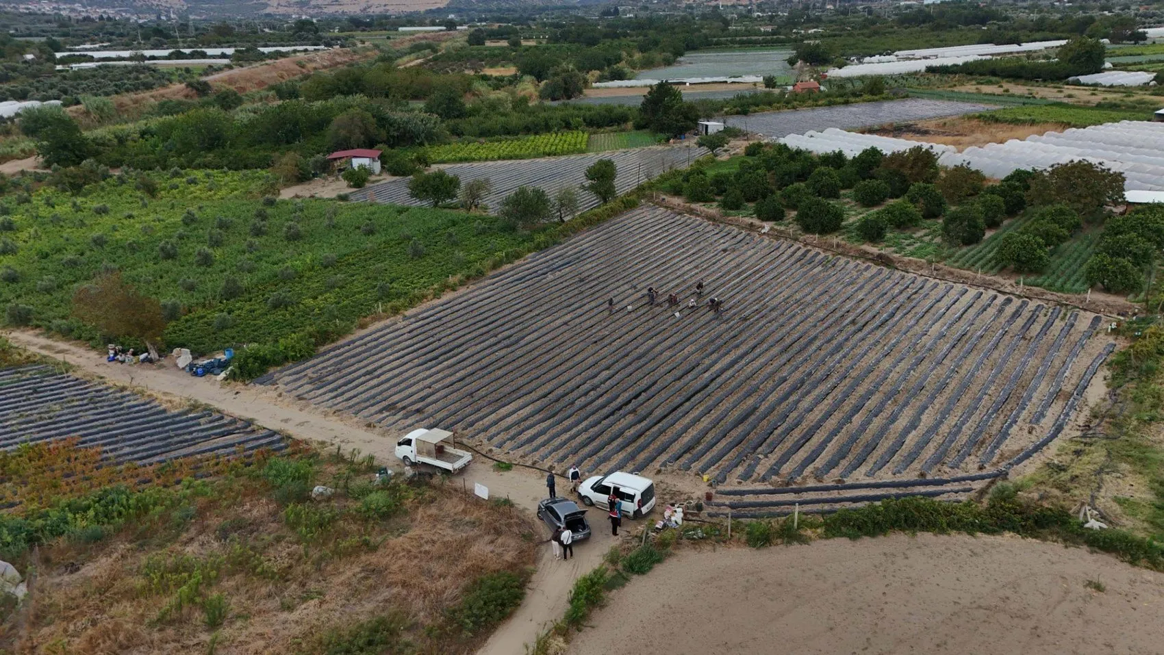 Plazadan toprağa uzanan bir yaşam tercihi: Menemen'de organik tarım bayrağı el değiştiriyor