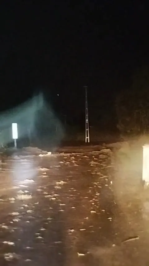 Elazığ'da hasat vakti gelen bağları sel vurdu: Köylüler çaresiz