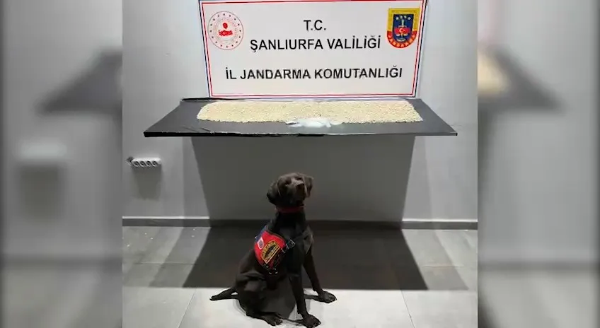 Şanlıurfa'da şaşırtan uyuşturucu zulası: Tuvalet giderine gizlemişler