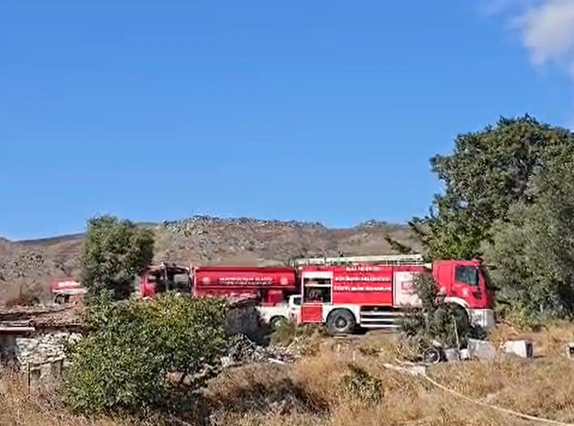 Marmara Adası'nda korkutan alevler: Ekipler zamanla yarıştı