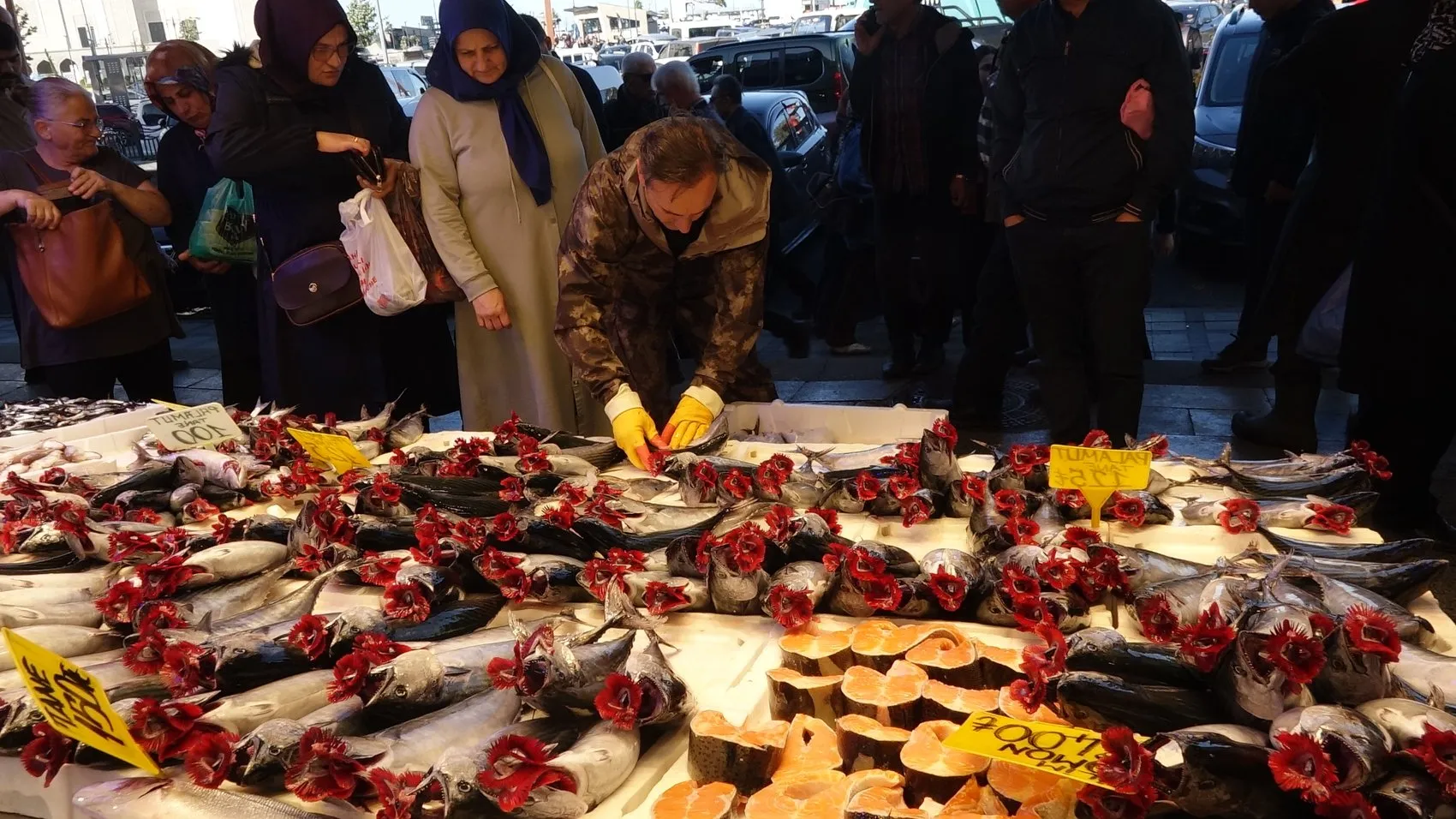 Karadeniz'de ağlar doldu taştı: Palamut bereketi sofraları şenlendiriyor