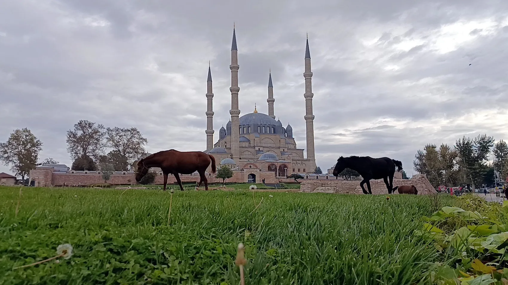 Mimar Sinan'ın şaheseri Selimiye'de beklenmedik ziyaretçiler: Turistler şaşkın