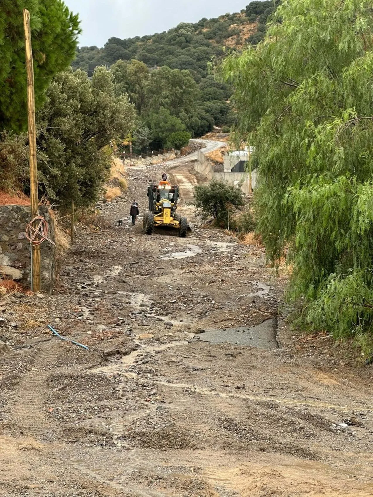 Bodrum'da kabus dolu saatler: Sağanak hayatı felç etti