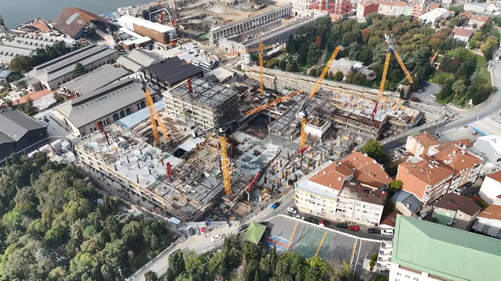 Modern yapılaşmanın ortasında direnen doğa: Haliç'teki devasa inşaat sahasında yalnız bir nöbetçi