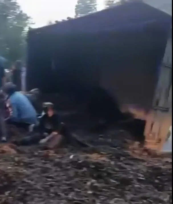 Düzce'de tarım aracı facianın eşiğinden döndü: Römorktaki 11 kişi yola savruldu
