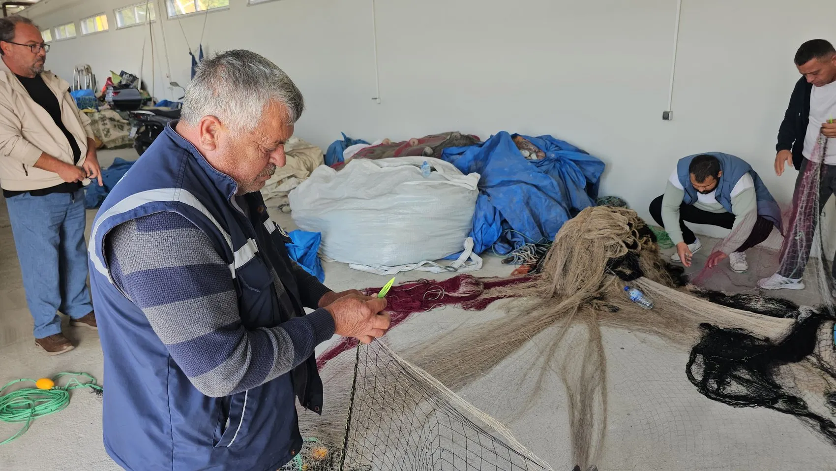 Karadeniz'de bereketli sezon: Bir ayda bin ton balık ağlara takıldı