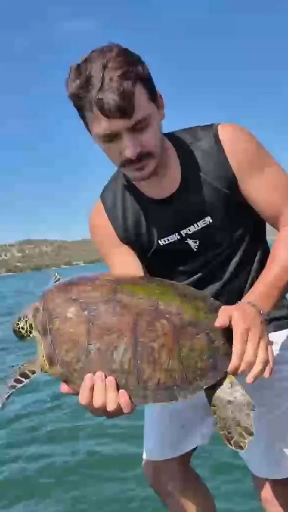 Denizin ortasında vicdan nöbeti: Pet şişeye mahkûm edilen caretta carettayı ölümden kurtardılar