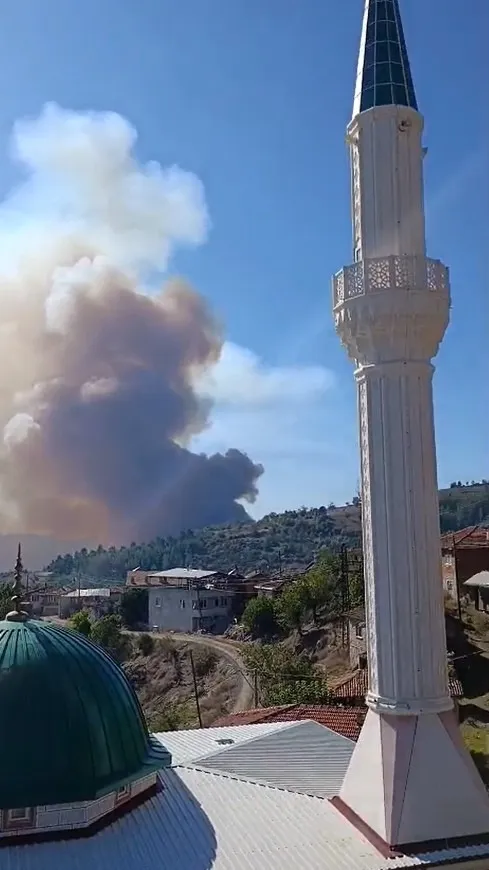 Büyükorhan'da alevler yükseldi: Ekipler seferber oldu