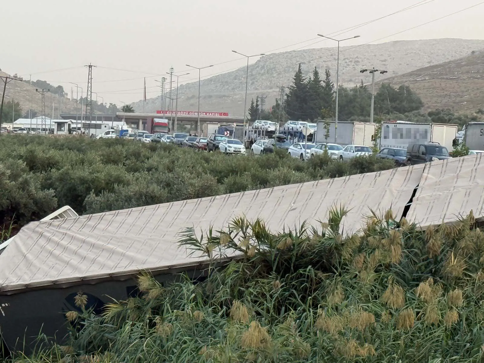 Reyhanlı yolunda korkunç kaza: Kontrolden çıkan TIR zeytinliğe uçtu