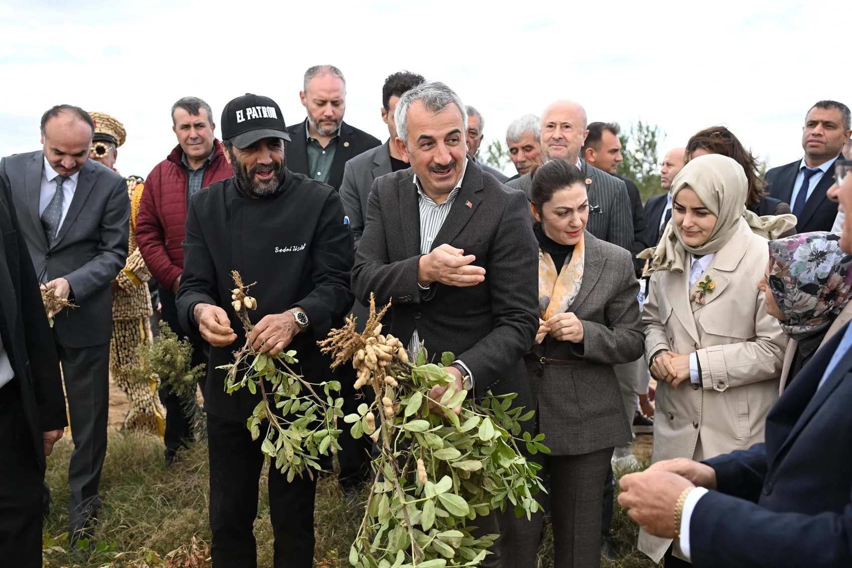 Edirne'nin sarı altını dünyaya açılıyor: Alibeyköy'de fıstık bereketi