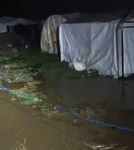Yenişehir'de sağanak kabusu: 120 mevsimlik işçi için acil tahliye kararı