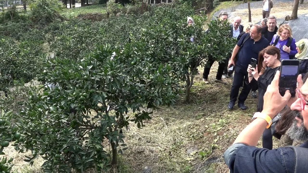 Rize'de Sofranın Ötesi: Toprakla Başlayan Gastronomi Devrimi