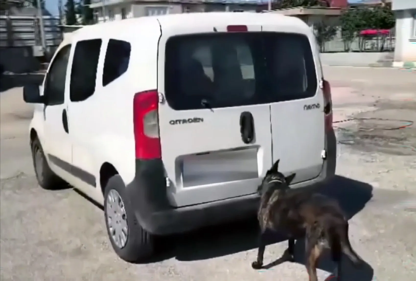 Adana'da narkotik operasyonu: Bagajdaki gizli yükü köpek ele verdi