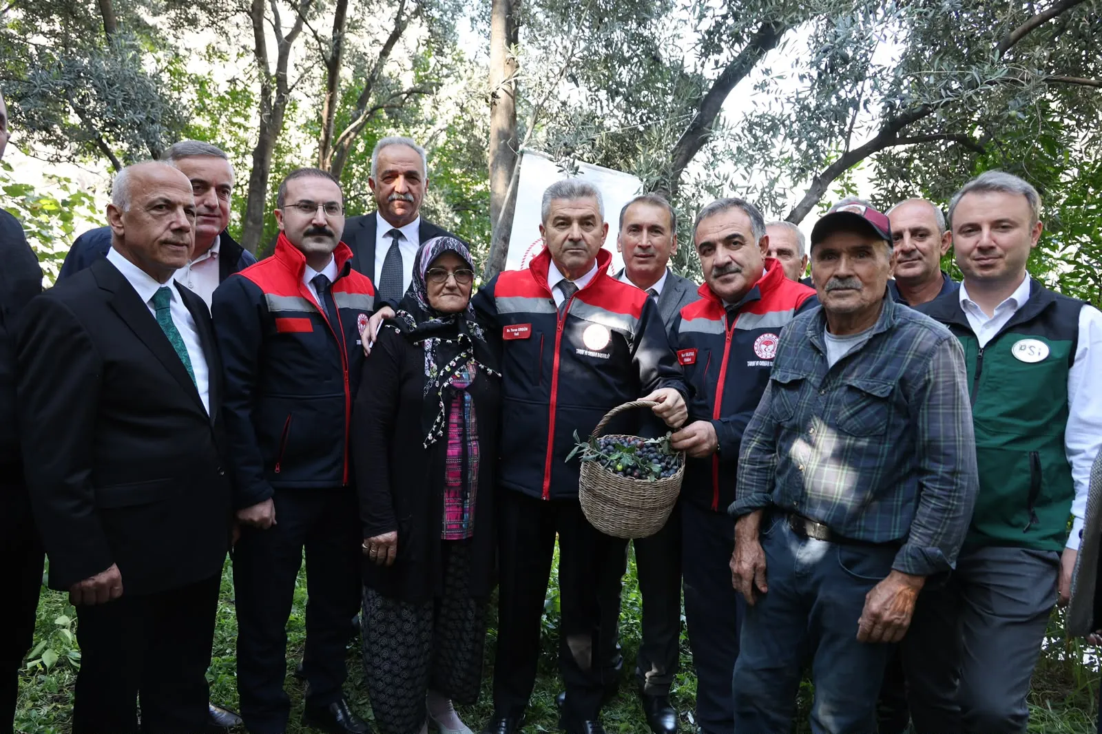 Artvin’in sarp yamaçlarında cambazlık mesaisi: 12 metrelik merdivenlerde Butko hasadı